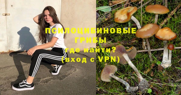 прущие грибы Богданович