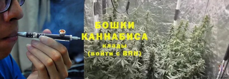 Марихуана SATIVA & INDICA  Светлоград 